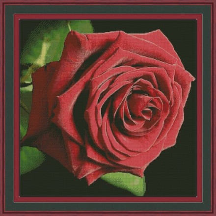 Красная роза Электронная схема для вышивания крестиком КВ-0001ИХ