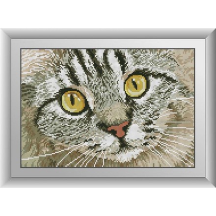 Котячий погляд. Dream Art (30418D) - Вишивка хрестиком і бісером - Овечка Рукодільниця