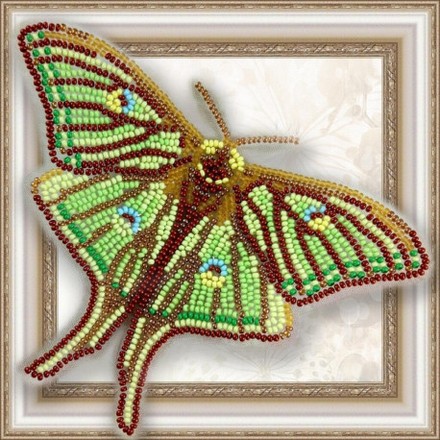 Набор для вышивки бисером бабочки на прозрачной основе Вдохновение Грельсия Изабеллы BGP-016 - Вишивка хрестиком і бісером - Овечка Рукодільниця