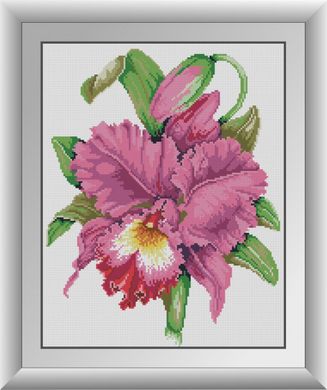 Цвітіння орхідеї. Набір алмазний живопис. Dream Art (30786D) - Вишивка хрестиком і бісером - Овечка Рукодільниця
