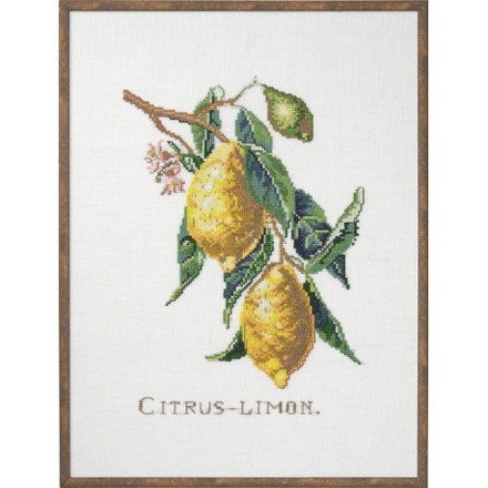 Лимоны Набор для вышивания крестом Eva Rosenstand 12-850 - Вышивка крестиком и бисером - Овца Рукодельница