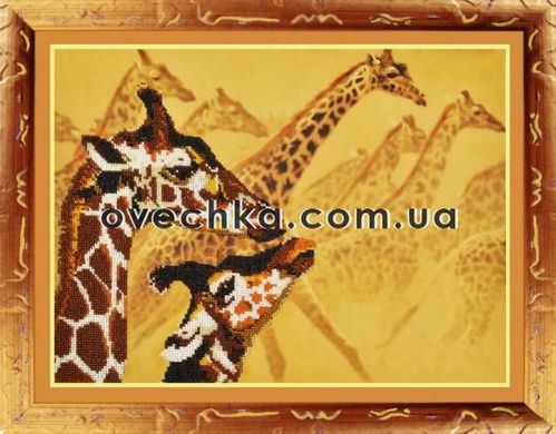 Жирафы. Набор для вышивания бисером. Картины бисером (Р-051кб) - Вышивка крестиком и бисером - Овца Рукодельница