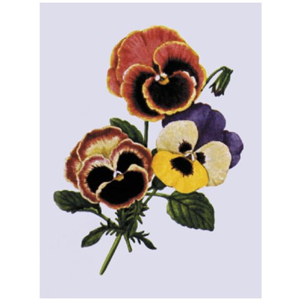 Веточка фиалок Ткань для вышивания с нанесённым рисунком Orchidea O-034 - Вышивка крестиком и бисером - Овца Рукодельница