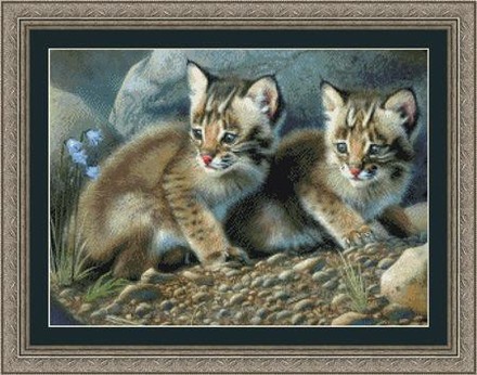 Bobcat Kittens Kustom Krafts. Набор для вышивания крестом. KUSTOM KRAFTS (73087) - Вышивка крестиком и бисером - Овца Рукодельница