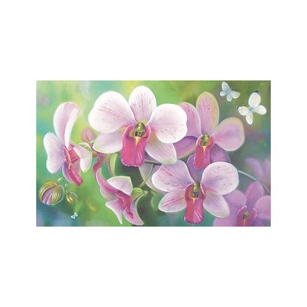 Орхидея красавица Принт для художественной вышивки Alisena AL1037а - Вышивка крестиком и бисером - Овца Рукодельница