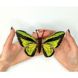 Ornithoptera goliath. Метелик Набір для вишивання хрестиком ArtInspirate BUT-20