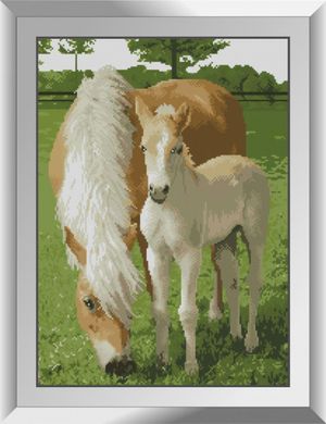 Кінь з лошам. Набір алмазний живопис. Dream Art (31263D) - Вишивка хрестиком і бісером - Овечка Рукодільниця