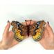 Euryphura chalcis. Метелик Набір для вишивання хрестиком ArtInspirate BUT-73